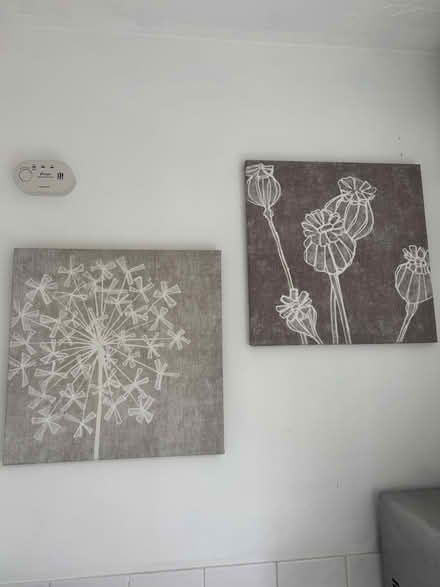 Photo of free Canvases (GL3) #1