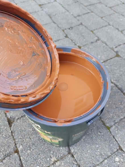 Photo of free Cuprinol Autumn Brown fence/shed paint (BT5) #2