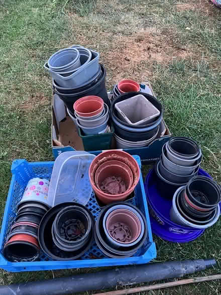 Photo of free Plant pots (Ware SG12) #1
