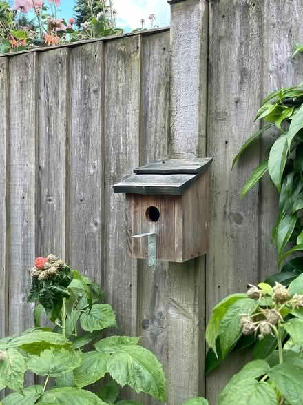 Photo of free Bird house / nest box (Oxford OX2) #1