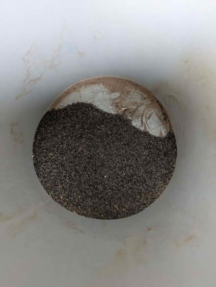 Photo of free A pound of Niger seed (Halton LA2) #1
