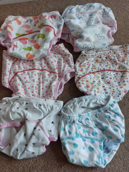 Photo of free Girls potty training pants (Keymer BN6) #1