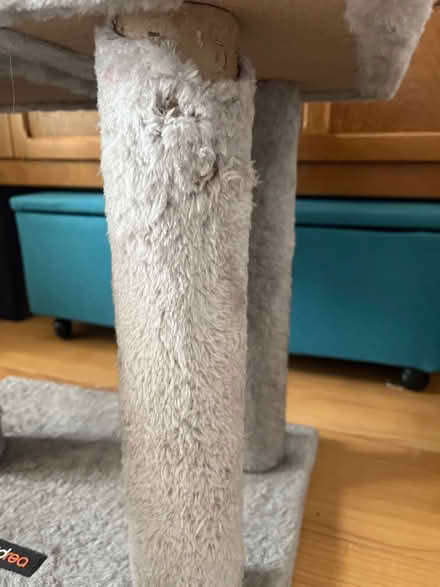 Photo of free Cat tree (Royal Leamington Spa CV32) #2