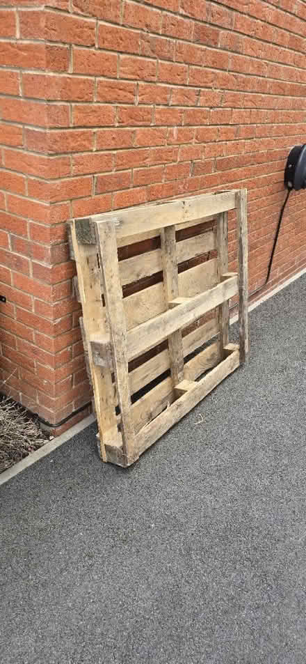 Photo of free Wooden pallet (Shepshed (Leics) LE12 9) #1