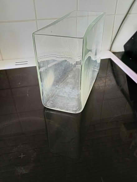 Photo of free Heavy glass vase/terrarium (Temple Cowley OX4) #3
