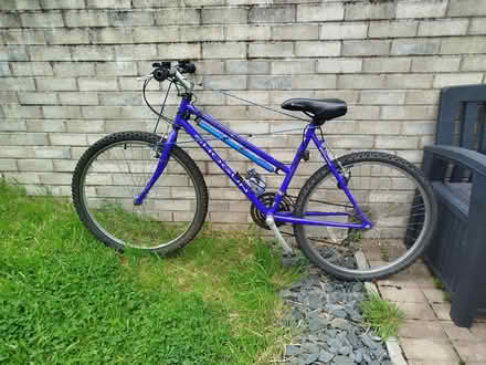 Photo of free Shogun mountain bike (Cambuslang, Glasgow) #2