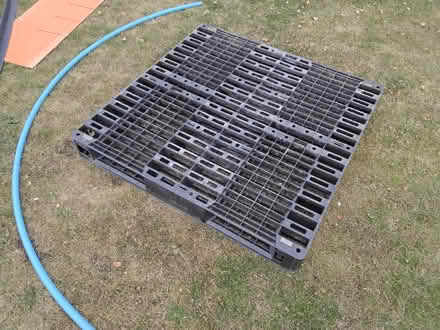 Photo of free Plastic Pallet (Welwyn AL6) #1