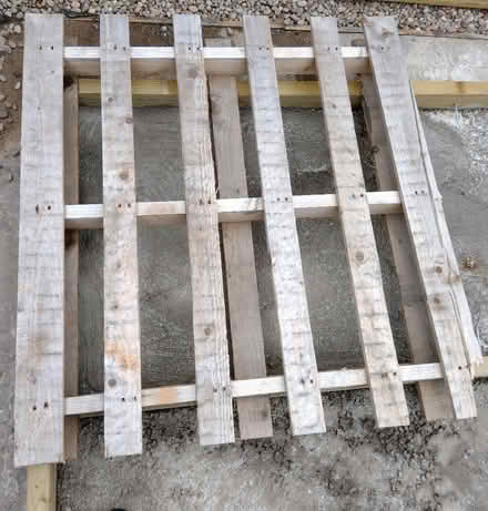 Photo of free Three pallets (now with pictures added) (West Dunbartonshire G83) #2