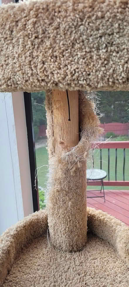 Photo of free Multi-Layer Cat Stand (Powder Springs) #3
