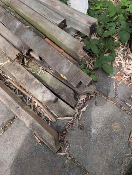 Photo of free Fence posts (NW11 Temple Fortune) #2