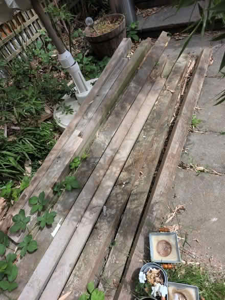 Photo of free Fence posts (NW11 Temple Fortune) #1