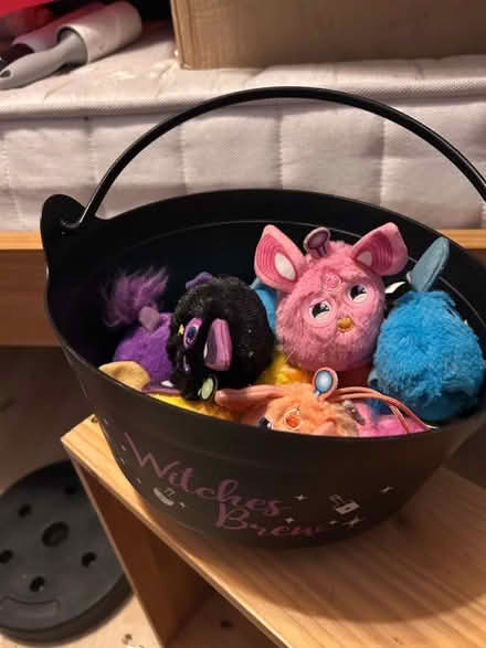 Photo of free Cauldron /McDonald’s Furbies (Handsworth Sheffield S13) #1
