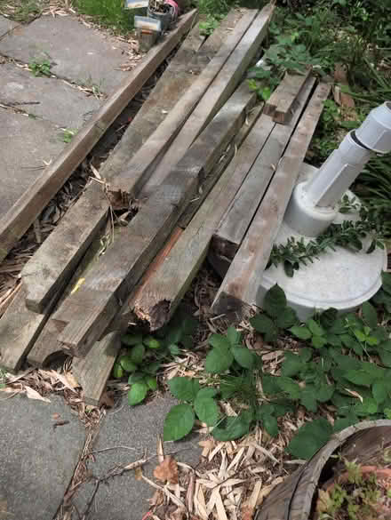 Photo of free Fence posts (NW11 Temple Fortune) #3