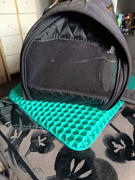Photo of free Small black pet carrier (Barbourne WR3) #3