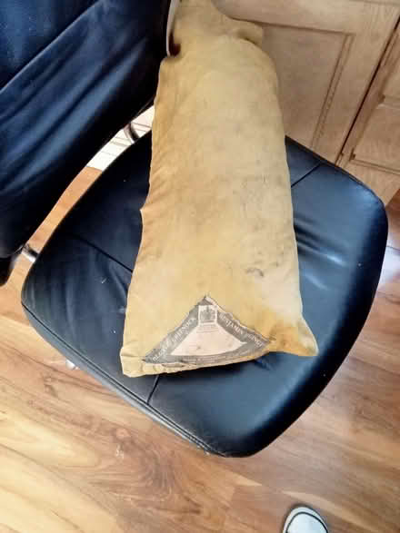 Photo of free One man tent (Polegate BN26) #1