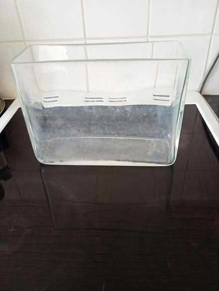 Photo of free Heavy glass vase/terrarium (Temple Cowley OX4) #1