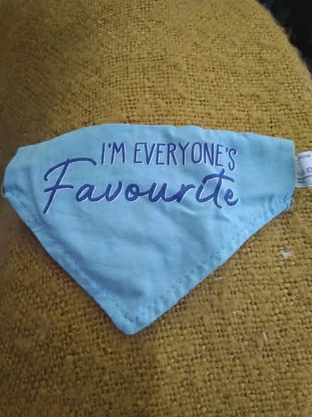 Photo of free Dog Collar Bandana (Leighton buzzard LU7) #1