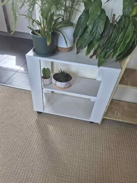 Photo of free Little shelf unit. Collection from Hammersmith (Barons Court W14) #1