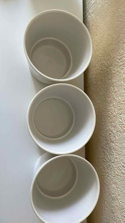 Photo of free Plant Pots (St Anne's on the Sea FY8) #3