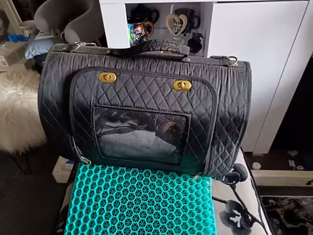 Photo of free Small black pet carrier (Barbourne WR3) #2