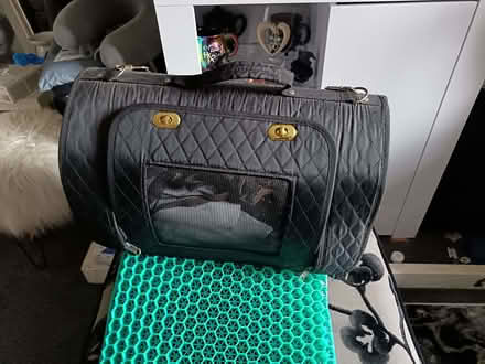 Photo of free Small black pet carrier (Barbourne WR3) #2