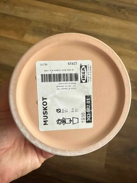 Photo of free Ikea fake plant (Common Edge FY4) #3