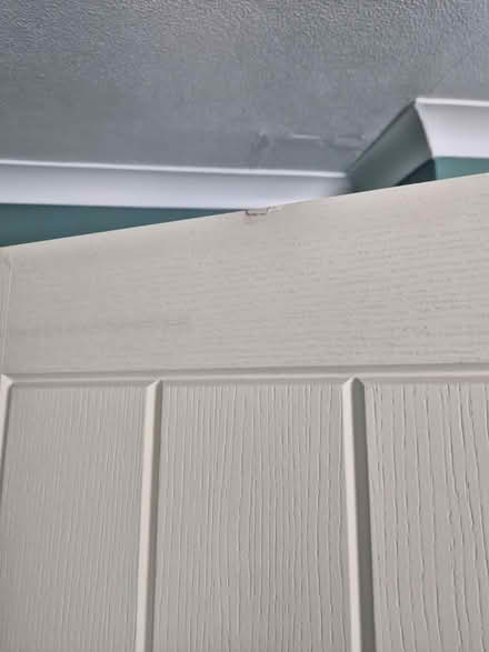 Photo of free Door 838mm wide (Barnsley S71) #2