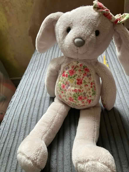 Photo of Teddies (Wales S26) #1