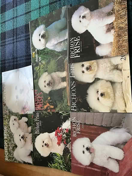 Photo of free Bichon frises calendars x8 (Waterlooville PO7) #2