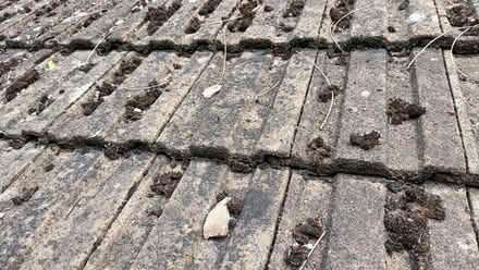 Photo of free 1960s roof tiles approx 700 (Malvern WR14) #1
