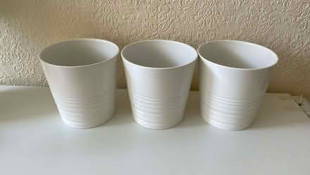 Photo of free Plant Pots (St Anne's on the Sea FY8) #1