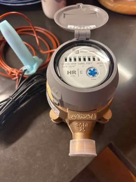 Photo of free Badger meter (Glen park) #1