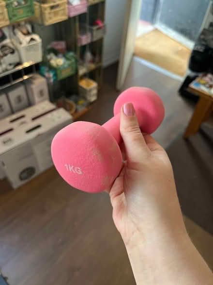 Photo of free 1kg pink dumbbell x1 (Camden) #1