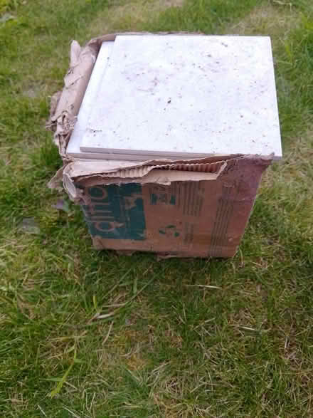 Photo of free Tiles (Newark NG24) #2