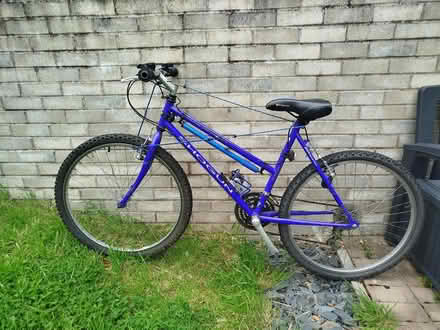 Photo of free Shogun mountain bike (Cambuslang, Glasgow) #1