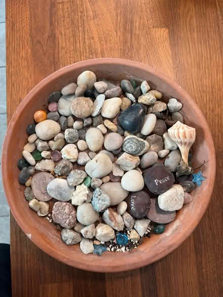 Photo of free Collection: stones, shells, crystal (Belmont) #1