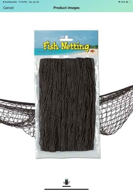 Photo of free Fish netting decoration (Friendship Heights) #2