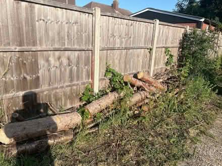 Photo of free Wood (Melbourne CM1) #1