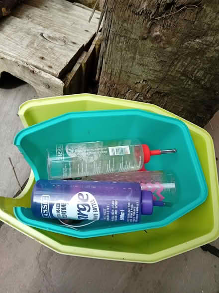 Photo of free Guinea pig hides and bottles (Vale LA1) #2