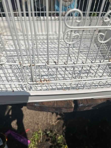Photo of free Large Bird Cage (North Finchley N12) #2