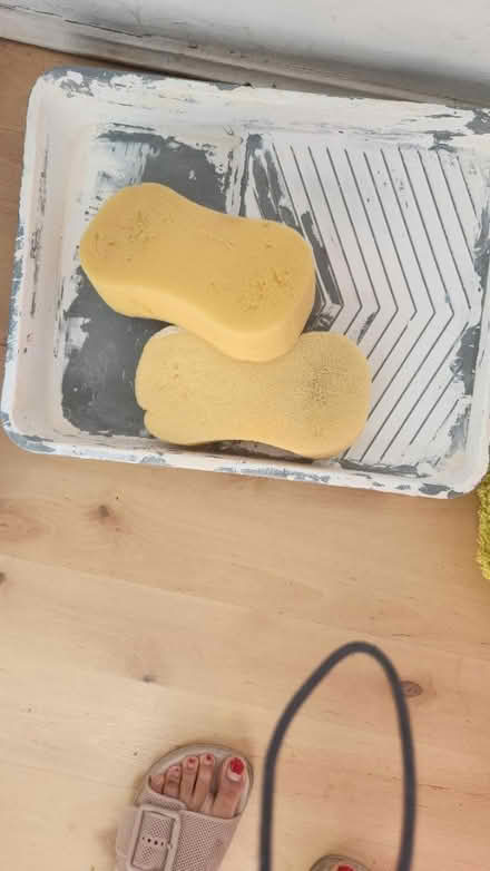 Photo of free Wall painting supplies and paint (E17) #4