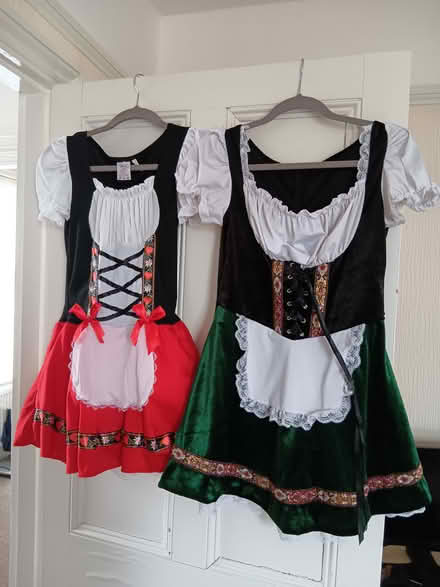Photo of free Ladies Dressing Up Costumes (Newton Abbot) #1