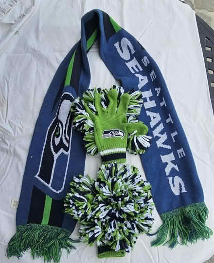 Photo of free Seahawk scarf & pom-pom mittens (McKinley Hilltop) #1