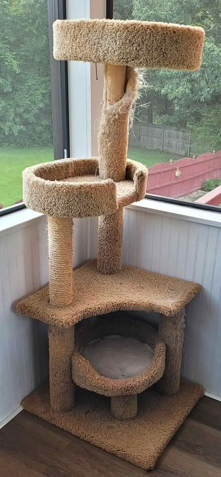 Photo of free Multi-Layer Cat Stand (Powder Springs) #1
