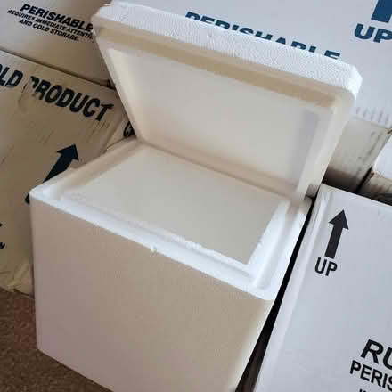 Photo of free Styrofoam Coolers (Norwalk / Silvermine Area) #3