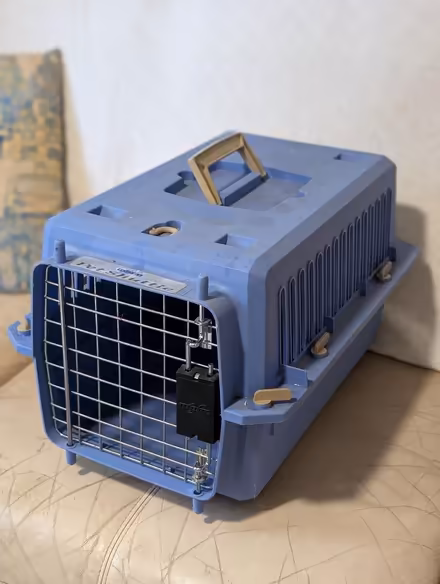 Photo of free Cat carrier (Derry And Winston Churchill) #1