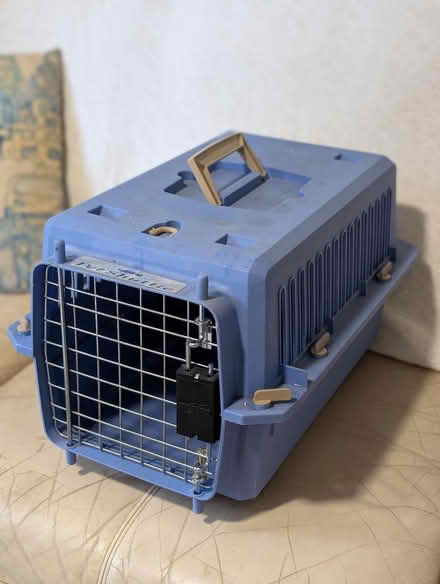 Photo of free Cat carrier (Derry And Winston Churchill) #1