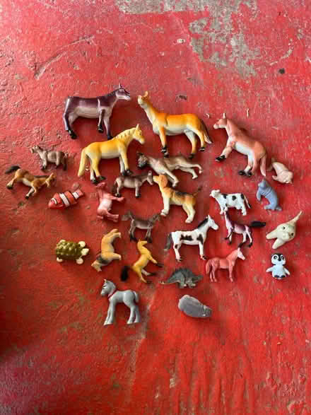 Photo of free Animal toy figurines (Tunbridge Wells) #1
