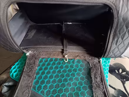 Photo of free Small black pet carrier (Barbourne WR3) #1