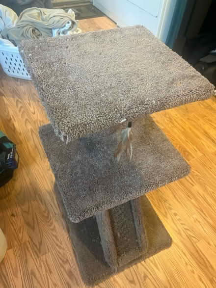 Photo of free Medium sized cat tree (Marin and Sonoma County) #1